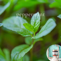 PEPPERMINT scented waterfree silicone free Vegan Body Butter