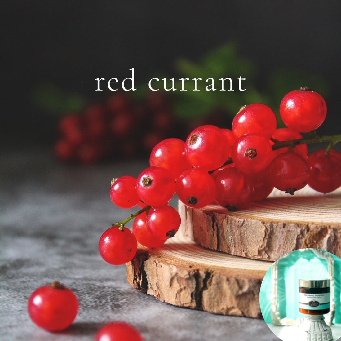 RED CURRANT scented waterfree silicone free Vegan Body Butter