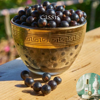 BLACK CURRANT CASSIS scented Room and Body Spray - BOGO DEAL