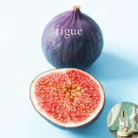 Best GIFT Scents sample set, 31 perfume samples