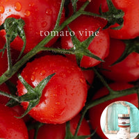 TOMATO VINE scented waterfree silicone free Vegan Body Butter