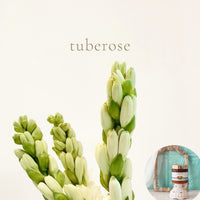 TUBEROSE scented waterfree silicone free Vegan Body Butter