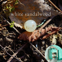 WHITE SANDALWOOD scented waterfree silicone free Vegan Body Butter