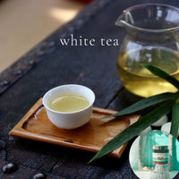 WHITE TEA scented waterfree silicone free Vegan Body Butter