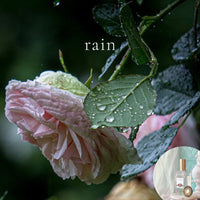 Best GIFT Scents sample set, 31 perfume samples