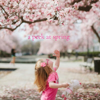 A PEEK at SPRING 10 piece perfume sample set