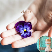 VIOLET pumpkin and shea butter sugar body scrub