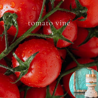 TOMATO VINE scented pumpkin and shea butter sugar body scrub