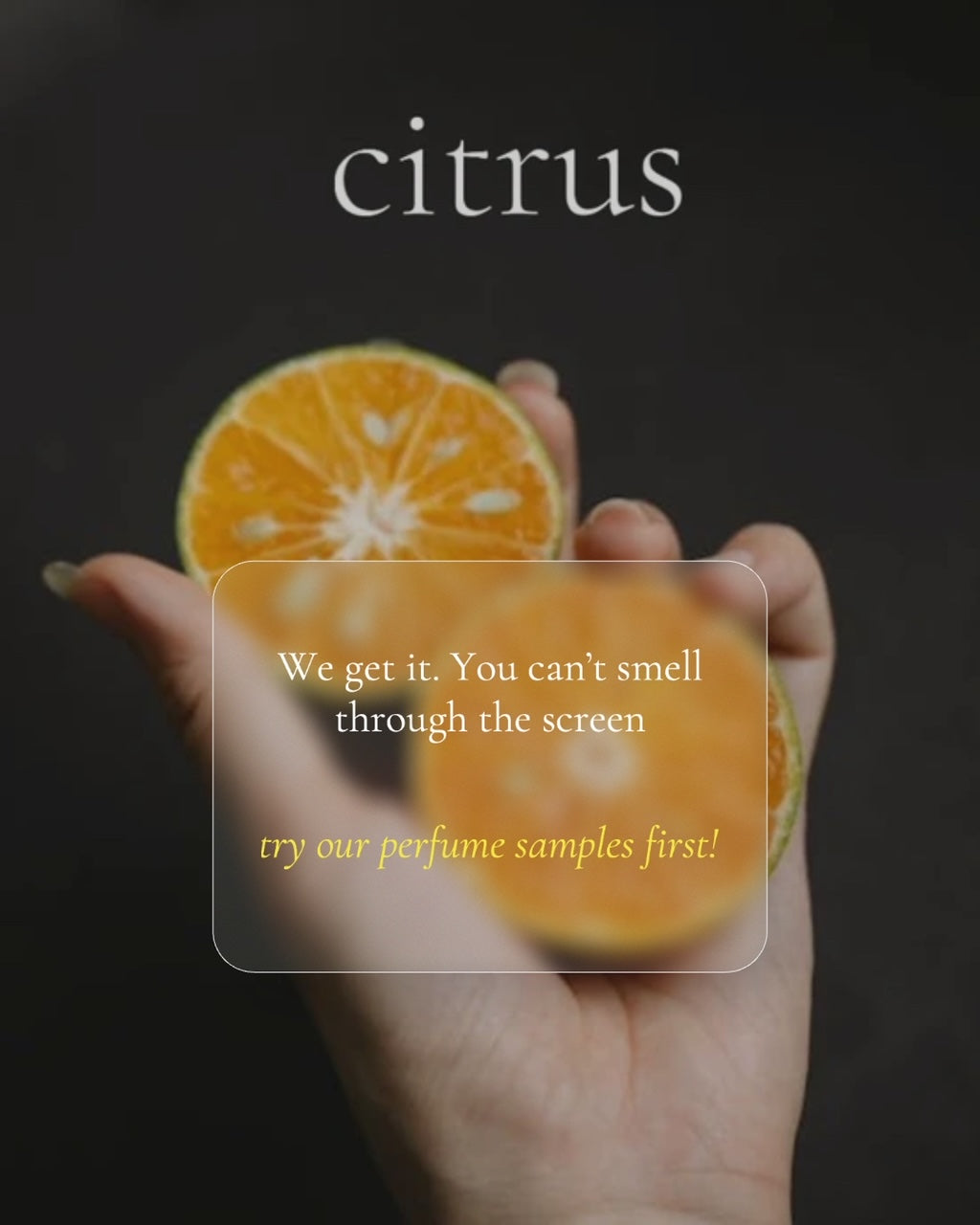 CITRUS CILANTRO scented Room and Body Spray - BOGO DEAL
