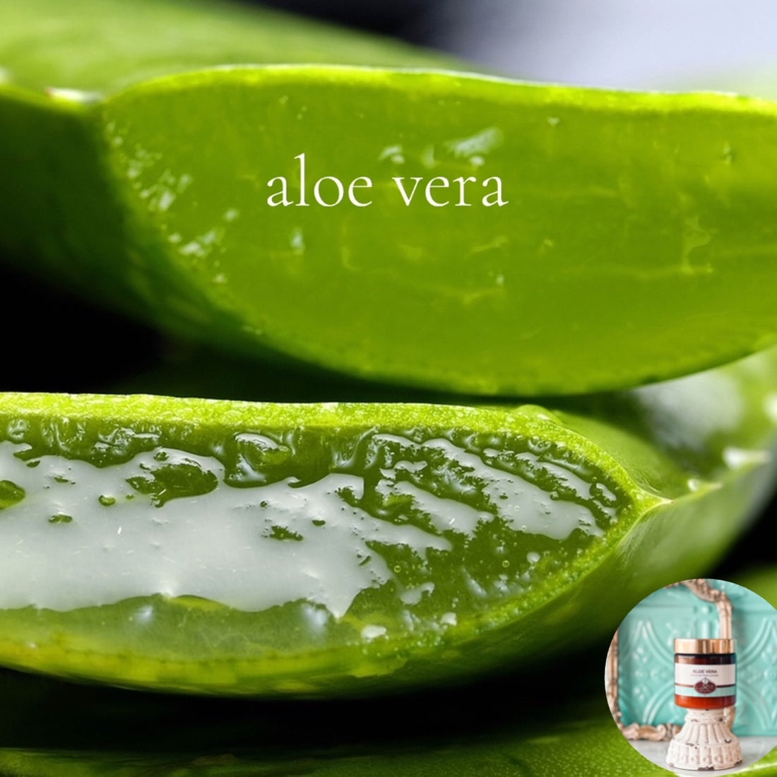 ALOE VERA scented waterfree silicone free Vegan Body Butter