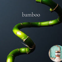 BAMBOO scented water free Vegan Body Butter in 2oz, 4oz, 8oz, or 16 oz jars