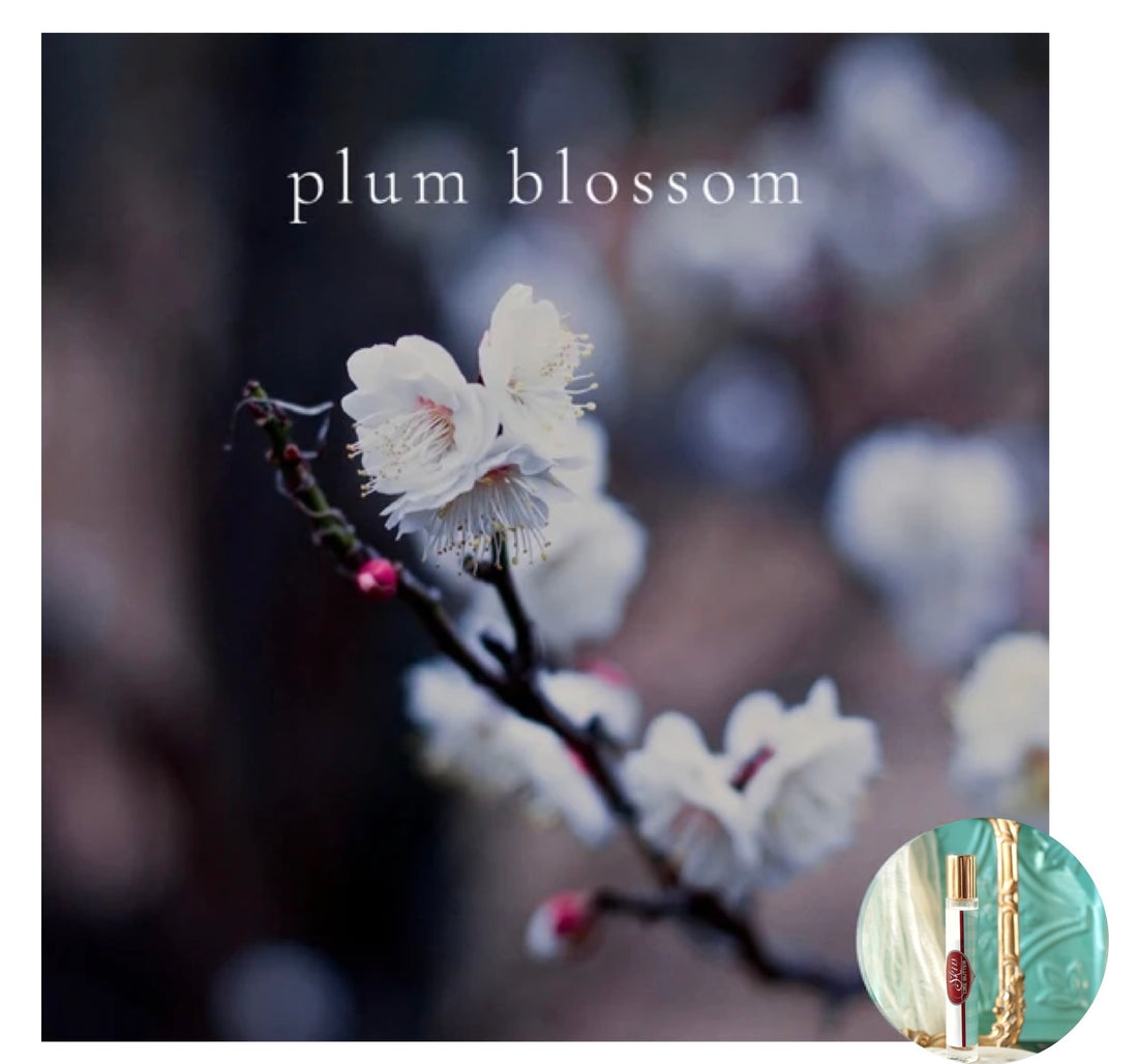 PLUM BLOSSOM ROLL ON PERFUME