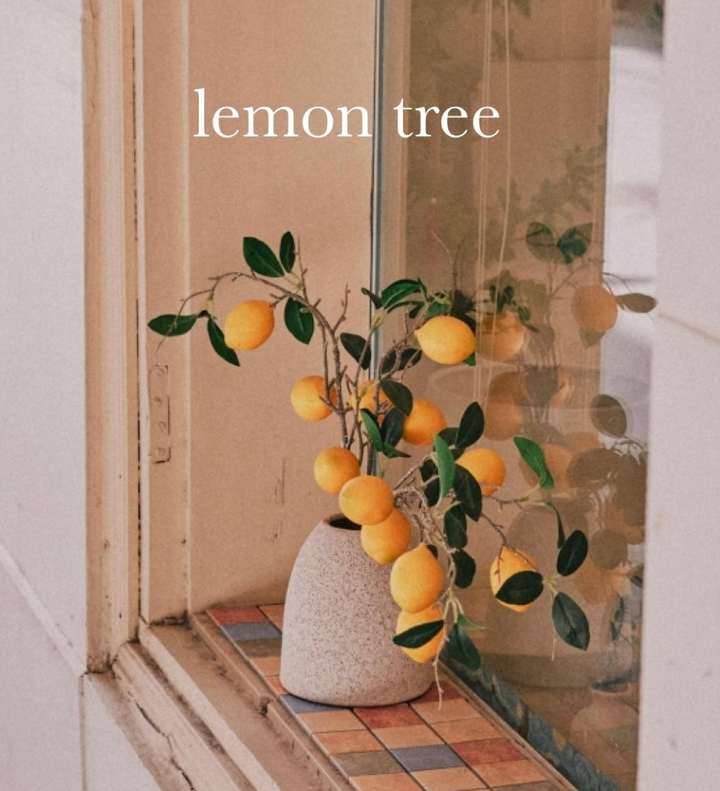 LEMON TREE scented waterfree silicone free Vegan Body Butter