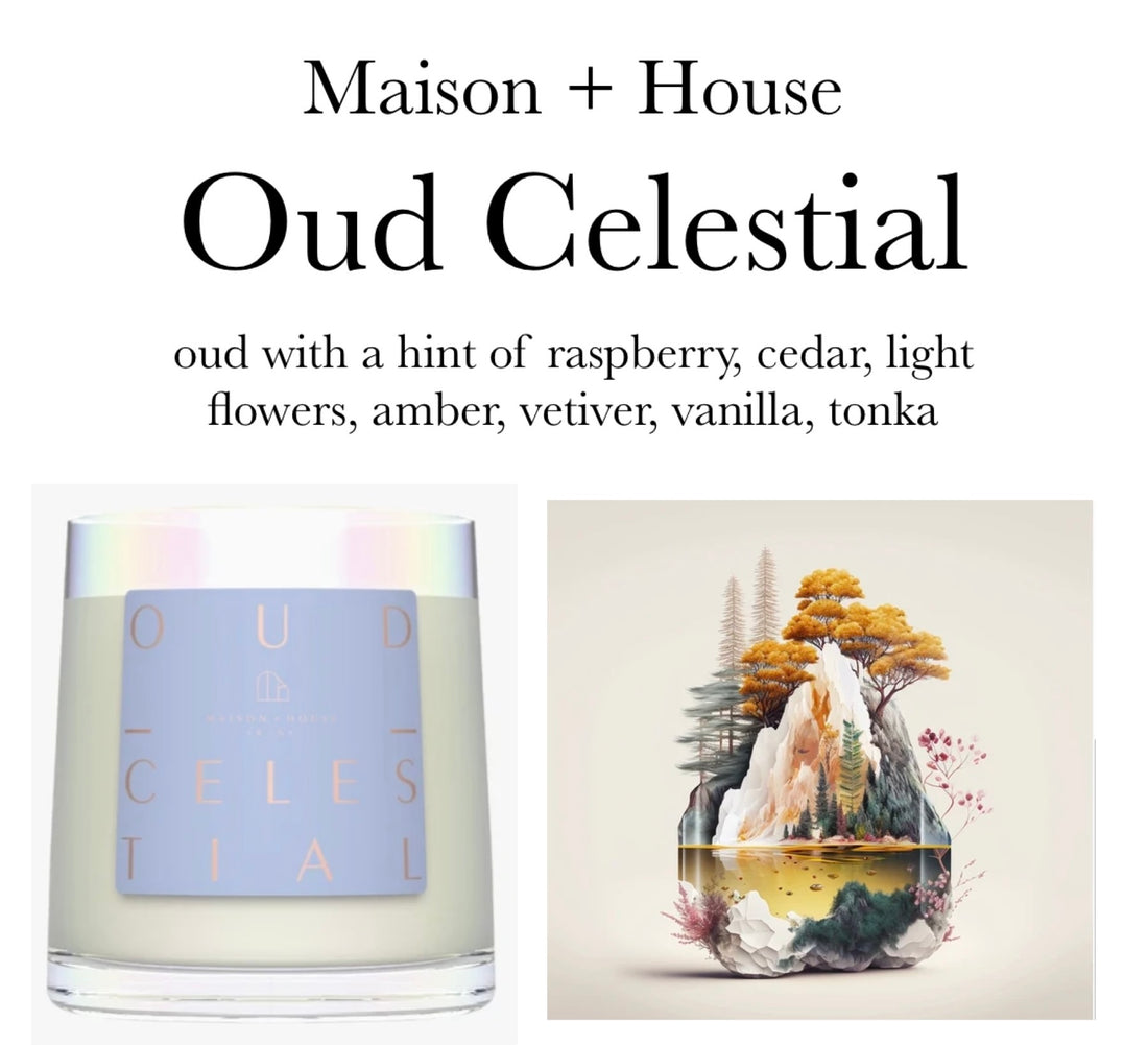 SKIN LIKE BUTTER & CO ~ LIFESTYLE - Luxury Candles