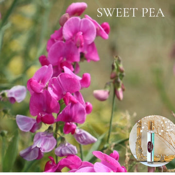 SWEET PEA - Roll On Perfume Deal ~  Buy 1 get 1 50% off-use coupon code 2PLEASE