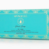 Skin Like Butter & Co boutique - Beach Grass Scented Body Wash infused Back Scrubber