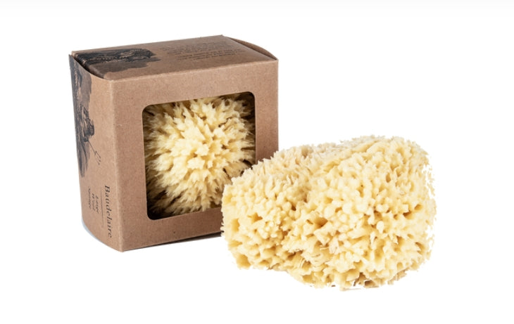 Skin Like Butter & Co boutique - BOUDELIER LUXURY LARGE SEA SPONGE