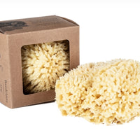 Skin Like Butter & Co boutique - BOUDELIER LUXURY LARGE SEA SPONGE