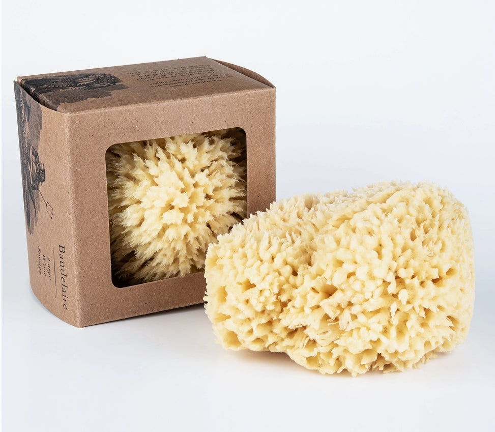 Skin Like Butter & Co boutique - BOUDELIER LUXURY LARGE SEA SPONGE