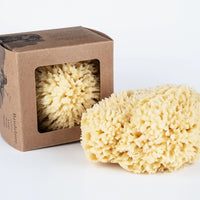 Skin Like Butter & Co boutique - BOUDELIER LUXURY LARGE SEA SPONGE
