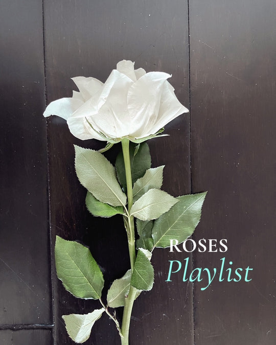 playlist for rose scent