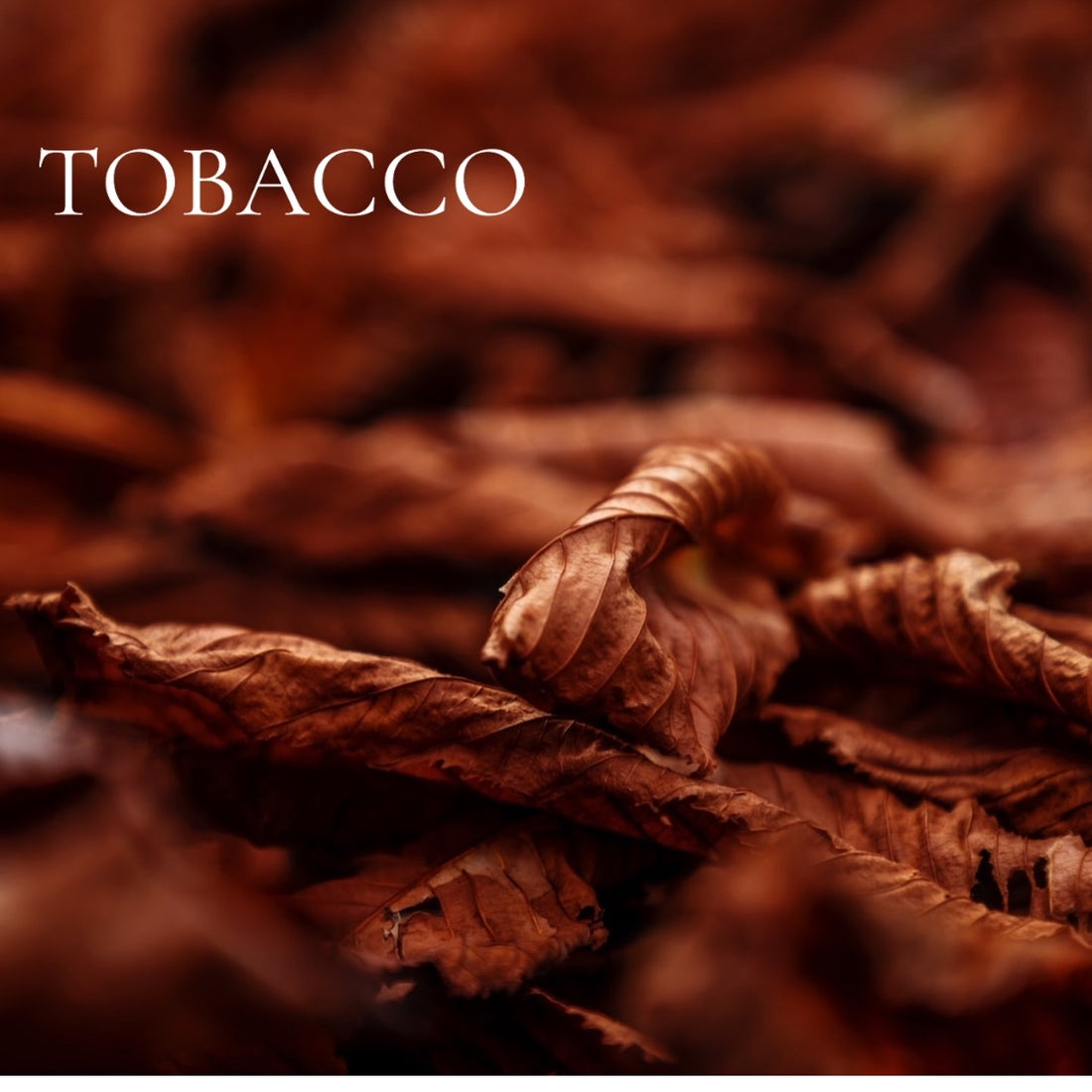 vaping vs tobacco Vaping vs. Cigarettes: Everything I Learned in 2 Weeks After Reading All The Studies I Found. | by Ram Mo | ILLUMINATION