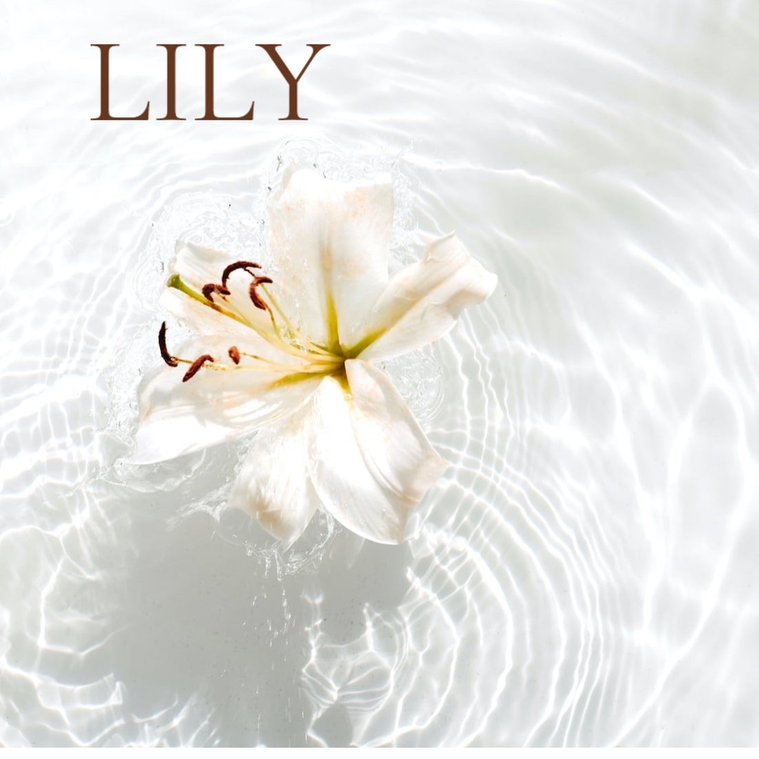 LILY - Room and Body Spray, Buy 2 get 1  FREE