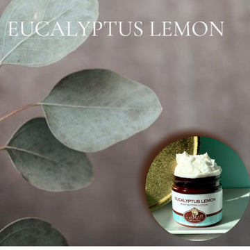 EUCALYPTUS LEMON scented Body Butter, waterfree and non-greasy, vegan
