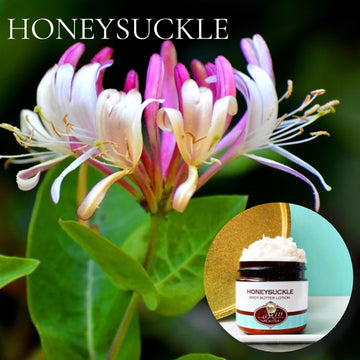 HONEYSUCKLE scented Body Butter, waterfree and non-greasy, vegan