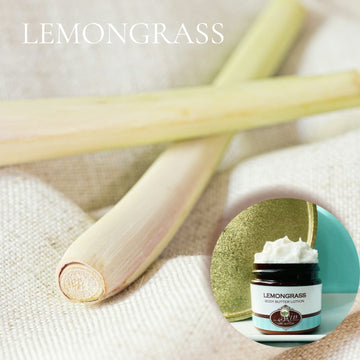 LEMONGRASS scented Body Butter, waterfree and non-greasy, vegan