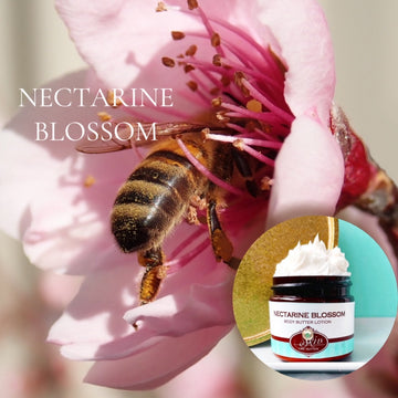 NECTARINE BLOSSOM scented Body Butter in an amber  2, 4, 8, or 16 oz bottle or jar