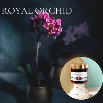 ROYAL ORCHID scented Body Butter, waterfree and non-greasy, vegan