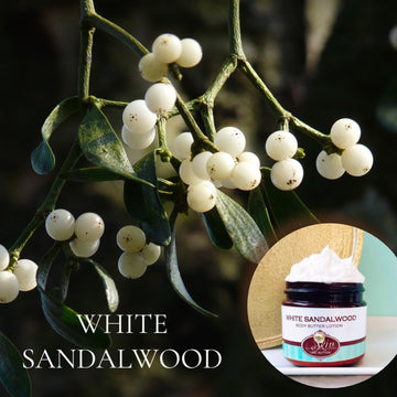 WHITE SANDALWOOD scented Body Butter, waterfree and non-greasy, vegan