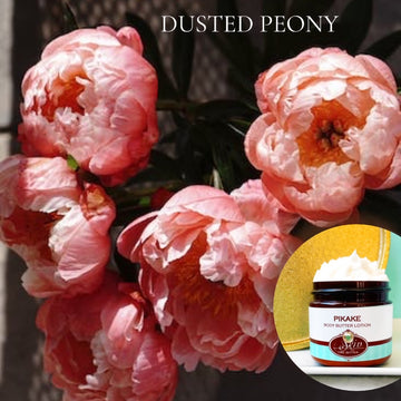 DUSTED PEONY scented Body Butter that's vegan, and water free