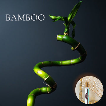 BAMBOO Roll On Travel Perfume in a Roll on or Spray bottle - Buy 1 get 1 50% off-use coupon code 2PLEASE