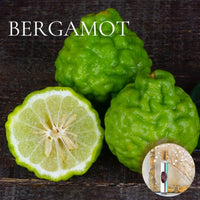 BERGAMOT Skin Like Butter Roll on Perfume Deal! ~ Buy 1 get 1 50% off-use coupon code 2PLEASE