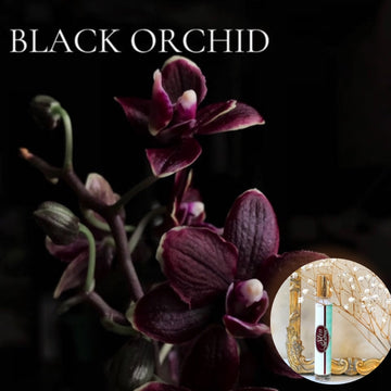 BLACK ORCHID Roll On Travel Perfume in a Roll on or Spray bottle - Buy 1 get 1 50% off-use coupon code 2PLEASE