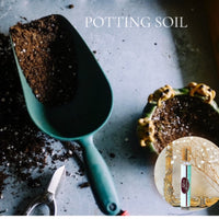 POTTING SOIL Roll on Perfume Sale! ~ Buy 1 get 1 50% off-use coupon code 2PLEASE