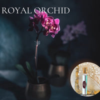 ROYAL ORCHID Roll on Perfume Sale! ~ Buy 1 get 1 50% off-use coupon code 2PLEASE