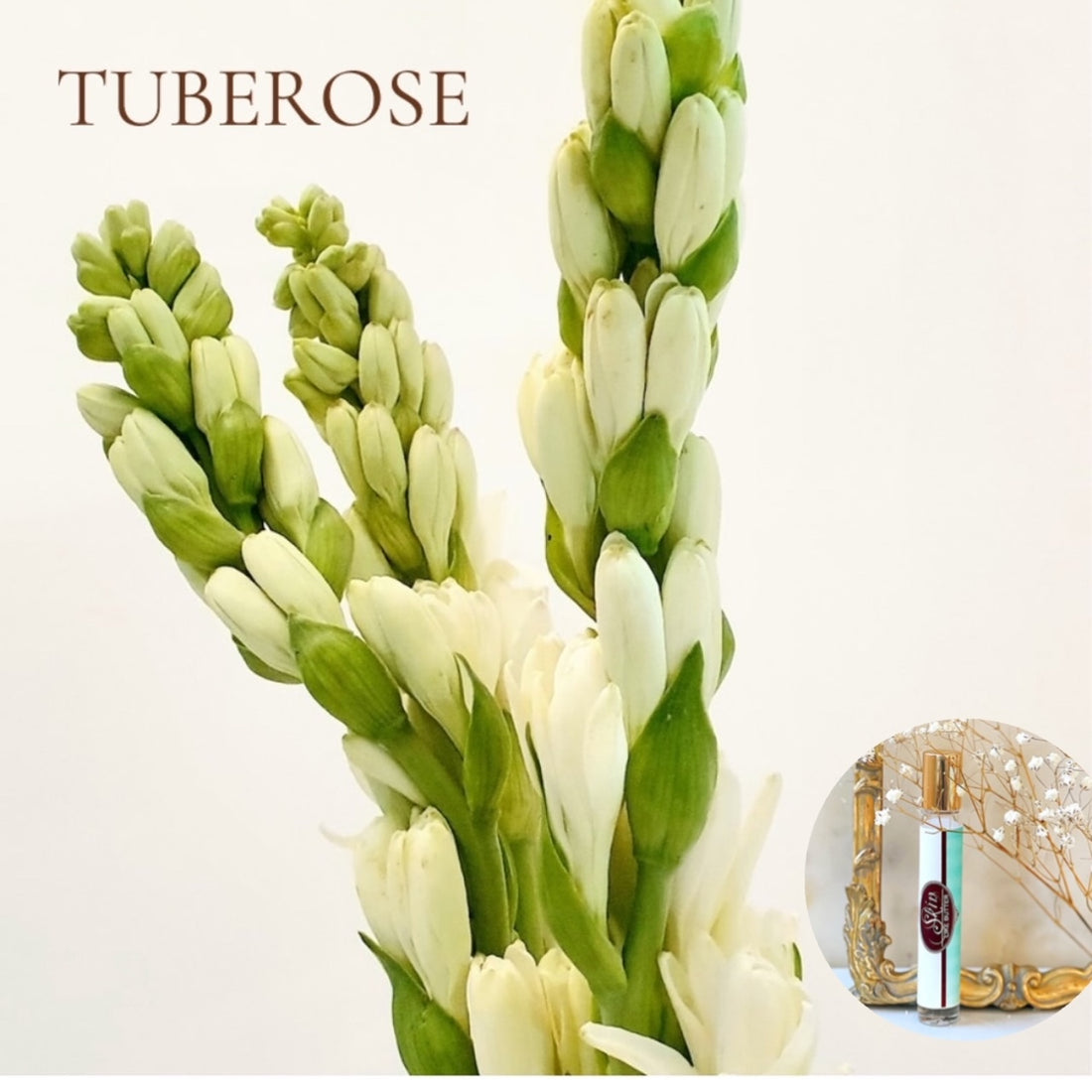 TUBEROSE  Roll On Perfume Deal ~  Buy 1 get 1 50% off-use coupon code 2PLEASE