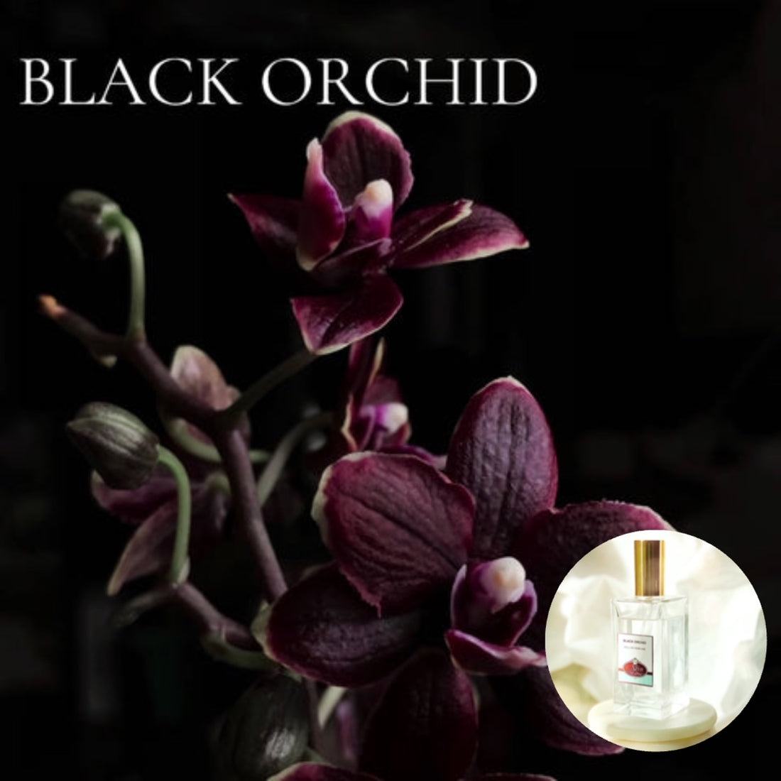 BLACK ORCHID - Room and Body Spray, Buy 2 get 1  FREE
