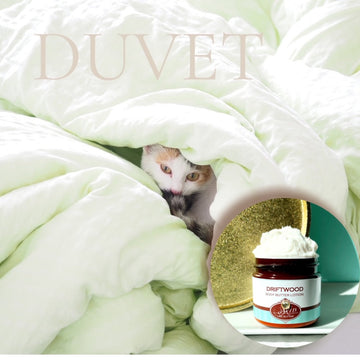 DUVET scented Body Butter, waterfree and non-greasy, vegan
