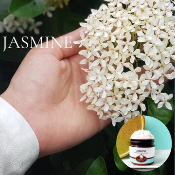 JASMINE scented Body Butter, waterfree and non-greasy, vegan