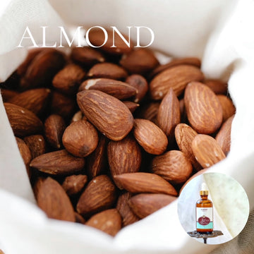 ALMOND Scented Shea Oil - in 4 oz bottles, highly moisturizing