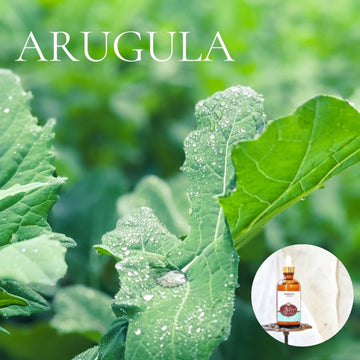 ARUGULA Scented Shea Oil - in 4 oz bottles, highly moisturizing