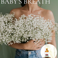BABY'S BREATH Scented Shea Oil - in 4 oz bottles, highly moisturizing