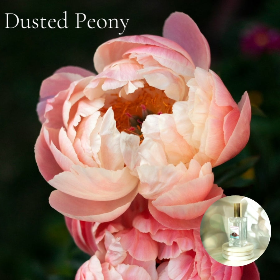 DUSTED PEONY - Room and Body Spray, Buy 2 get 1  FREE