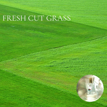 FRESH CUT GRASS - Room and Body Spray, Buy 2 get 1 FREE deal