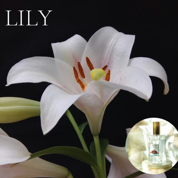 LILY scented Room and Body Spray - free shipping