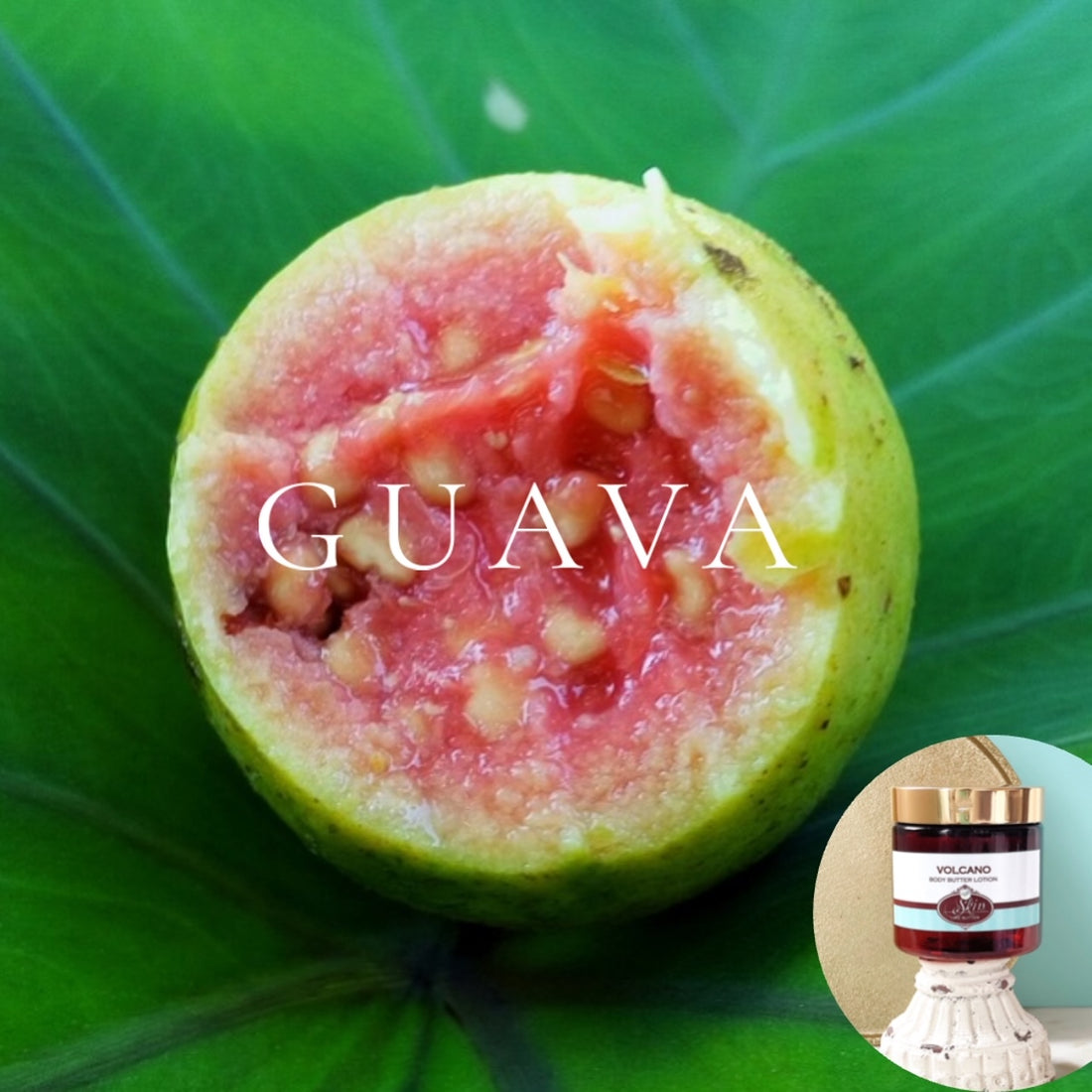 GUAVA scented water free, vegan non-greasy Skin Like Butter Body Butter